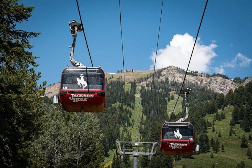 During the summer peak season the sightseeing ticket includes the Tram as well as both the Bridger and Sweetwater Gondolas 2