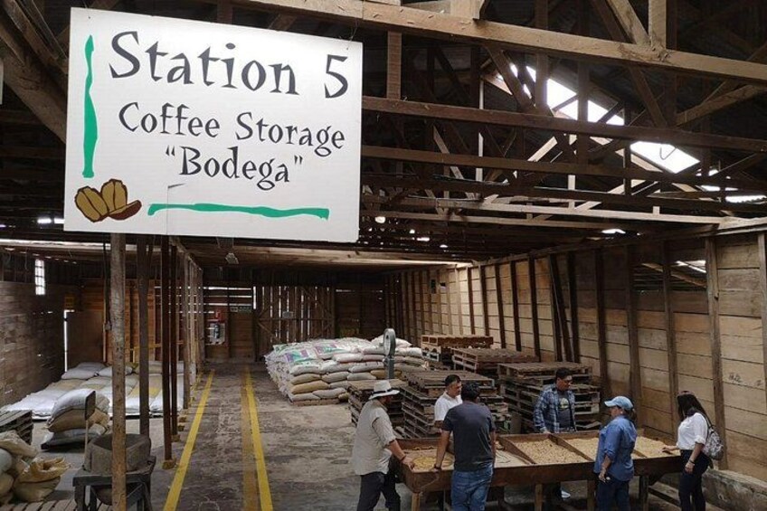 Hacienda Doka Coffee Tour 3