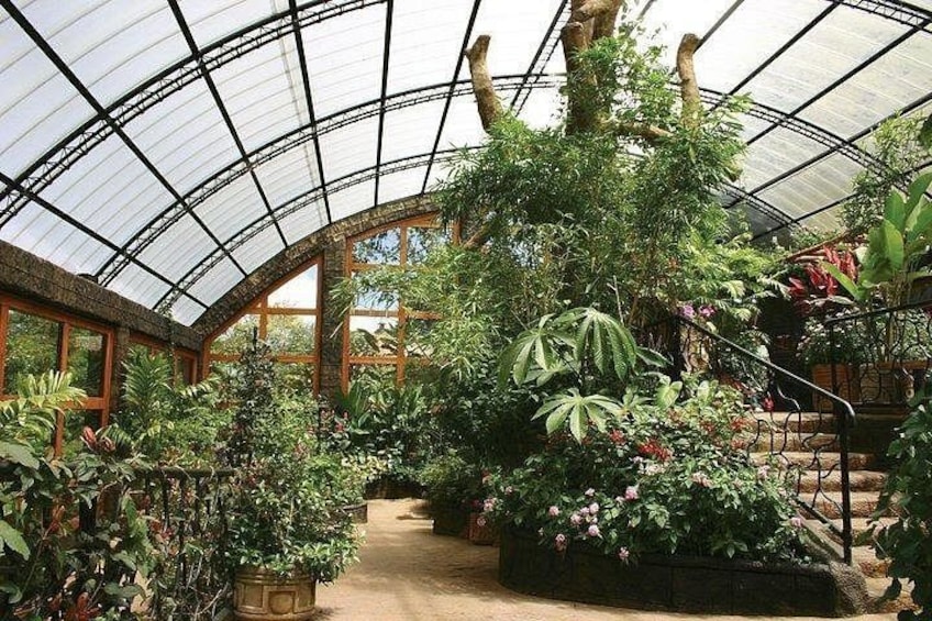 Butterfly Farm at La Paz Waterfall Gardens 3