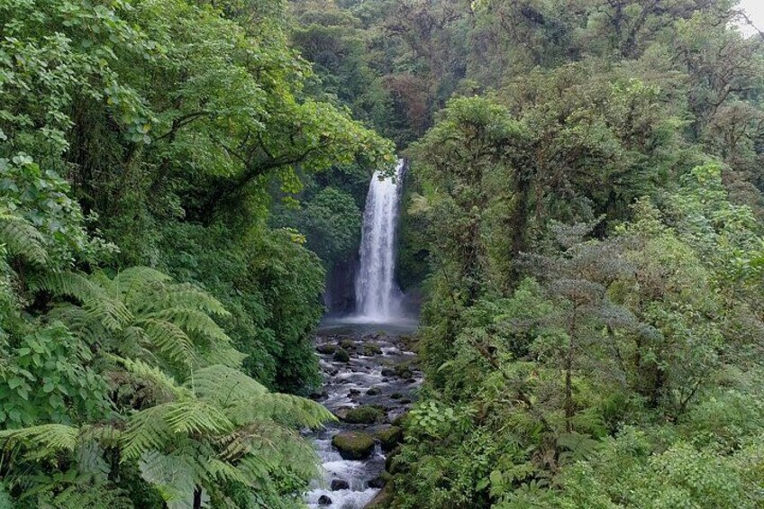 La Paz Waterfall 3