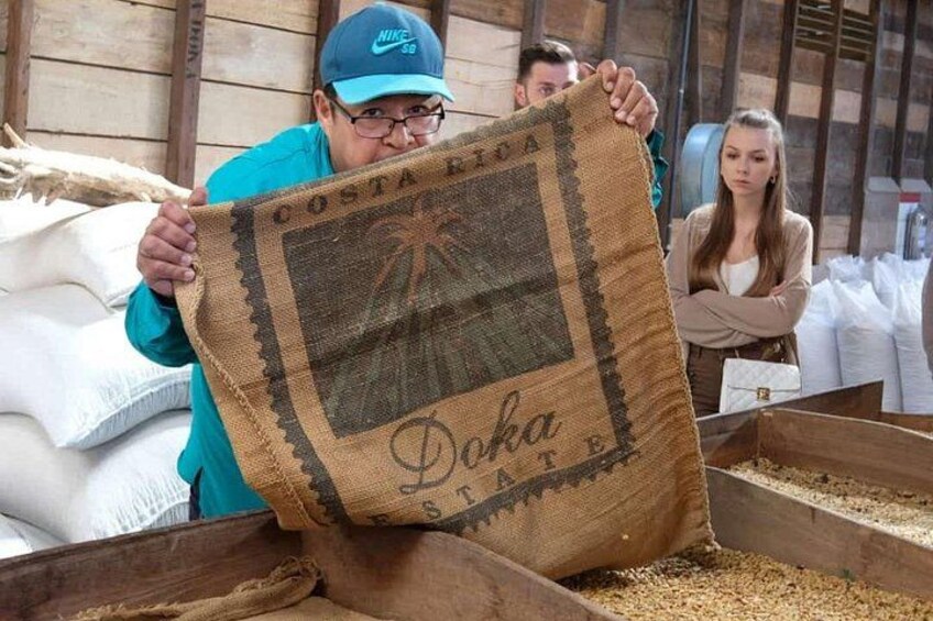 Hacienda Doka Coffee process guided tour 5