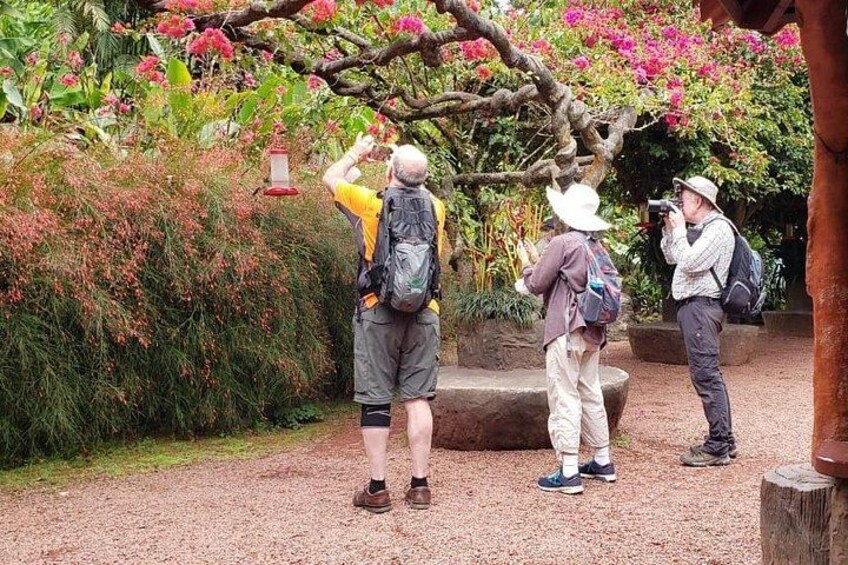 Hummingbird Gardens at La Paz Waterfall Gardens 5