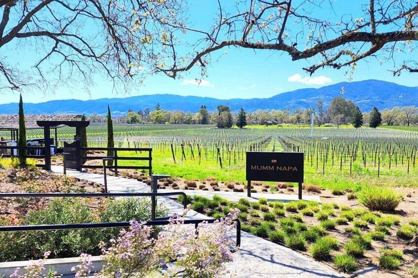 Sonoma and Napa Champagne Wine Private Tour Half Day 1