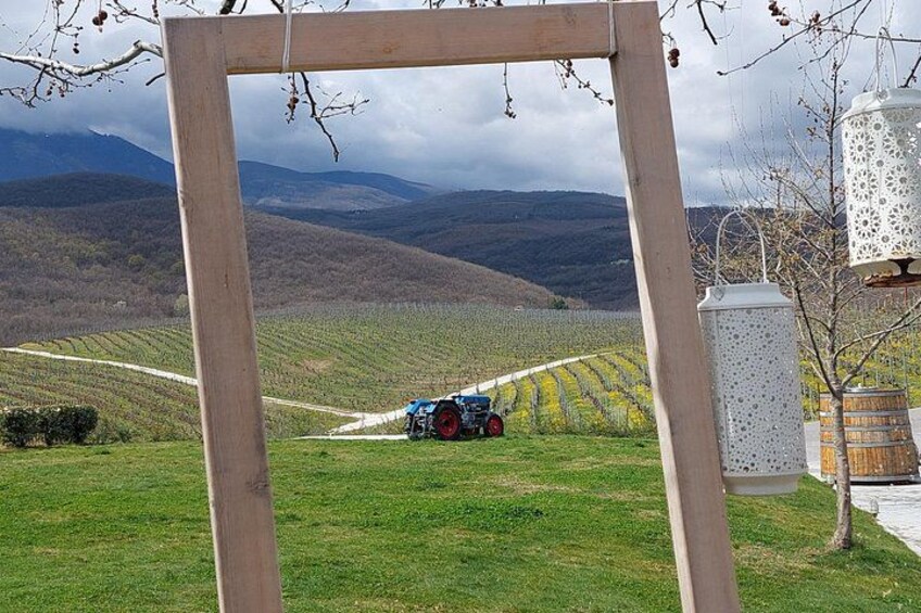 A tractor in a vineyard with a wooden frame in the foreground. 1