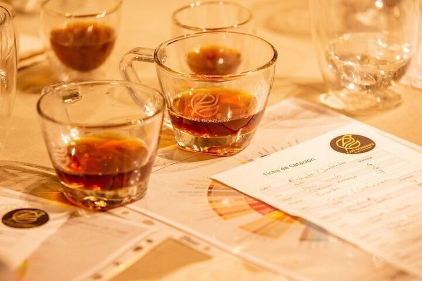 Specialty Coffee Tasting in Bogotá, From coffee growers to your cup 4