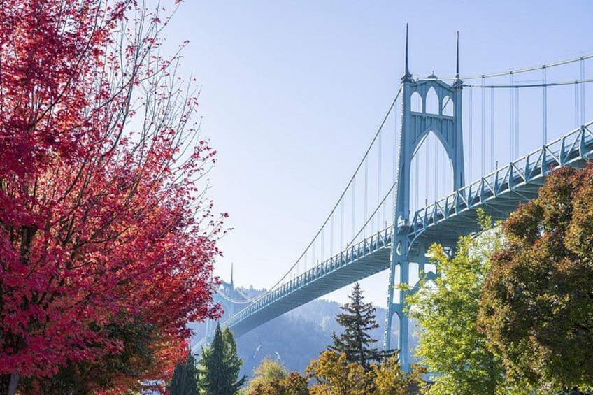 Een hangbrug met een heldere lucht en herfstkleuren. 5