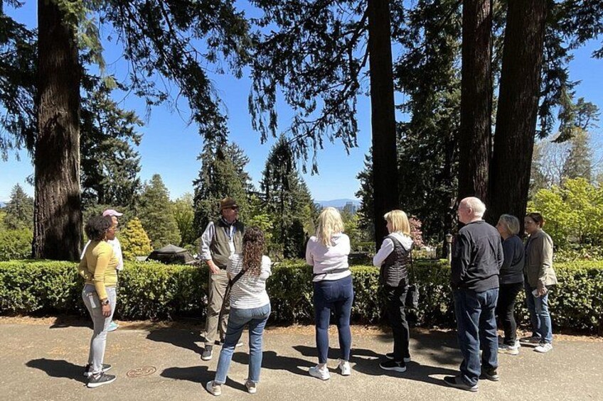Your tour guide is a knowledgeable local 5