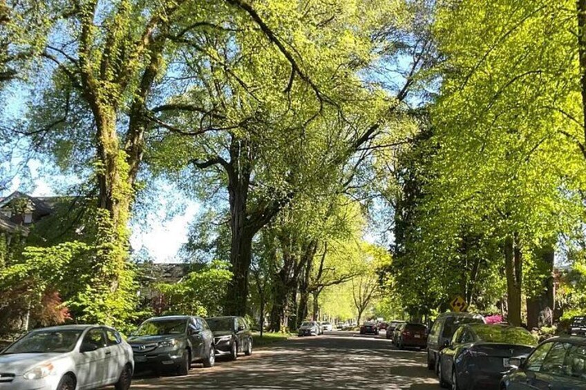 Visit Portland's lush east side neighborhoods on your tour of Portland 2