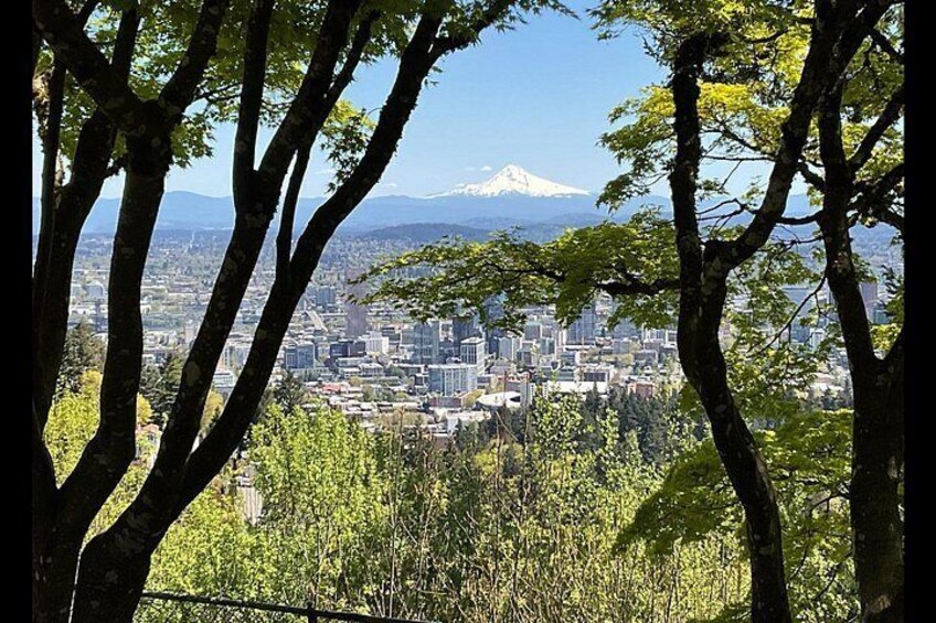 Une vue urbaine avec une montagne en arrière-plan. 3