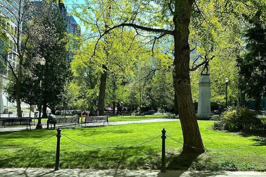 Een park met groen gras, bomen, een standbeeld en bankjes. 2