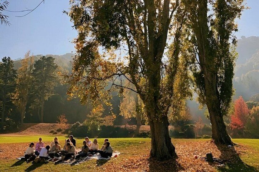 A group of people sitting on a blanket under a large tree in a park. 2