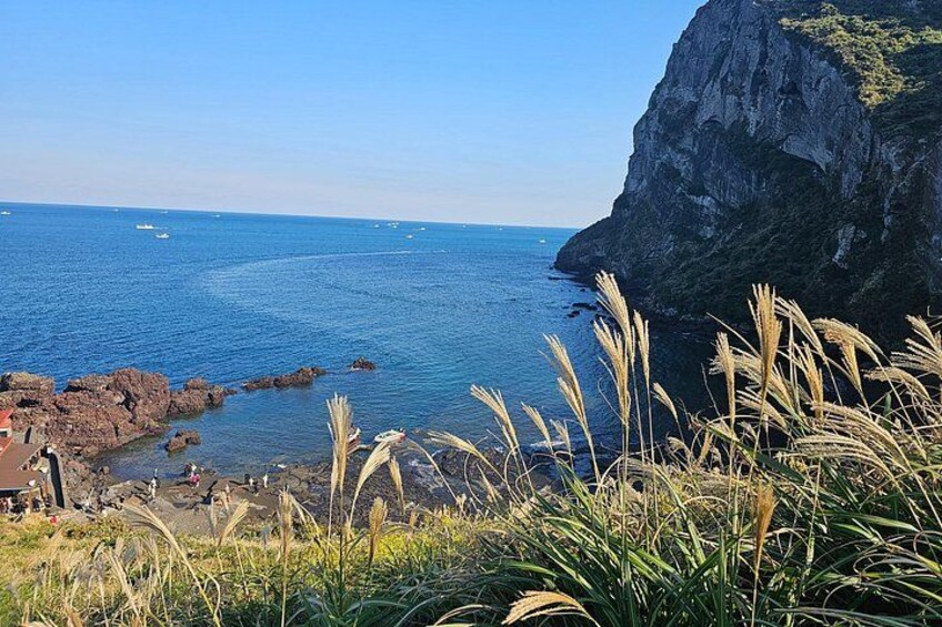 Beautiful Jeju Island Private UNESCO day Tour 5