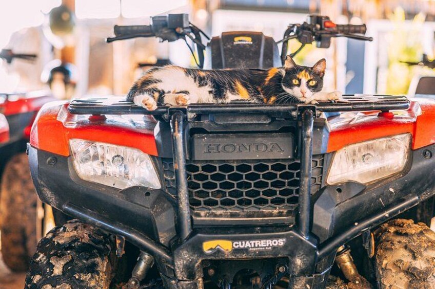 Cartagena ATV Tours by Bomba Tours 5