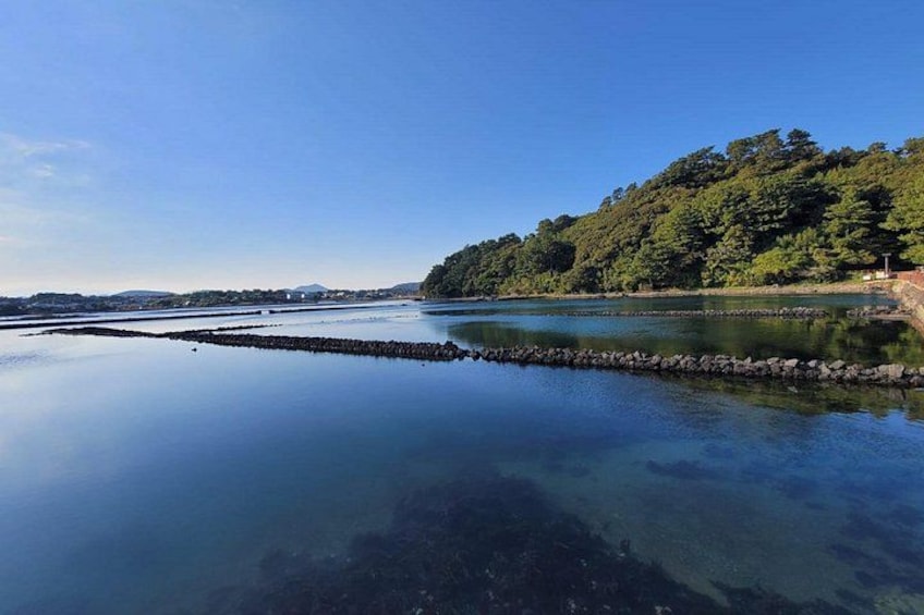 A calm lake with clear reflections, surrounded by dense forest and a distant mountain. 2