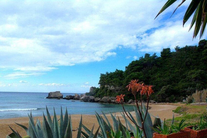 A beach with a rocky shoreline, green vegetation, and a clear sky. 2