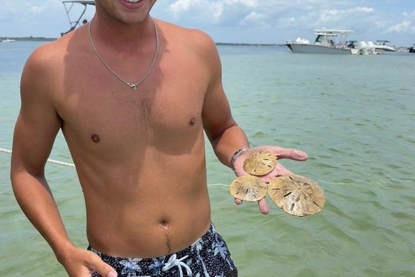 A man holding sea shells by a calm sea with boats in the background. 1