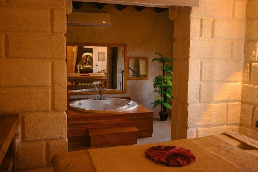 A bathroom with a large sink, wooden vanity, a mirror, and a potted plant. 2
