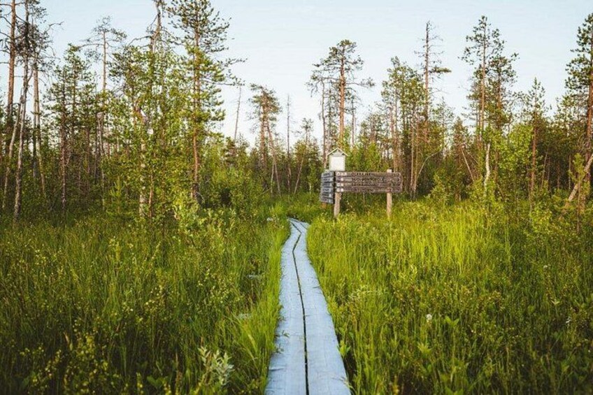 En smal stig genom en tät skog, med en vägvisare som anger riktningarna. 5