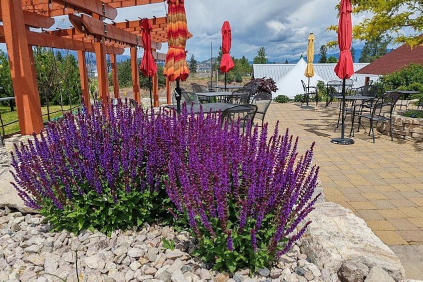 Kelowna Wine Tour by E-Bike with Tastings, Lunch & Local Guide 5