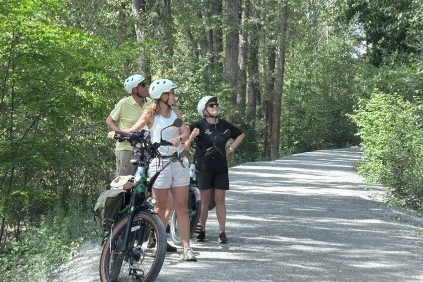 Kelowna Wine Tour by E-Bike with Tastings, Lunch & Local Guide 3