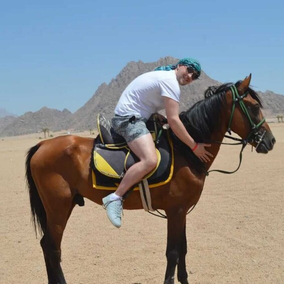 Desert Horse Riding in Sharm El Sheikh