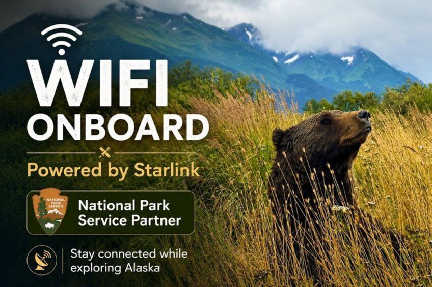 Whittier Cruise Transfer with Wildlife&Glacier tour to Anchorage 5