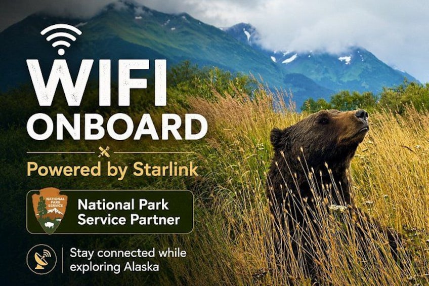 Whittier Cruise Transfer with Wildlife&Glacier tour to Anchorage 5