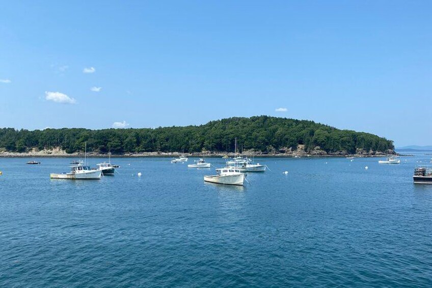 Un paysage côtier avec plusieurs bateaux ancrés dans des eaux calmes, une île boisée en arrière-plan et un ciel bleu dégagé. 2