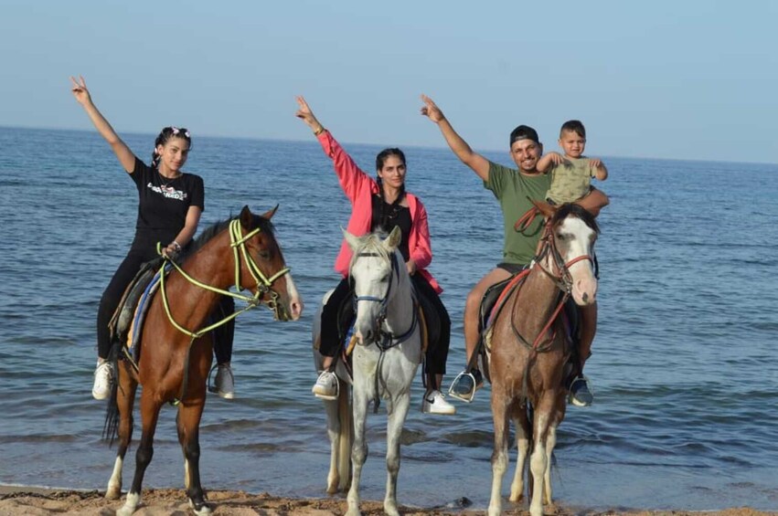 Beach Horse Riding in Sharm El Sheikh 