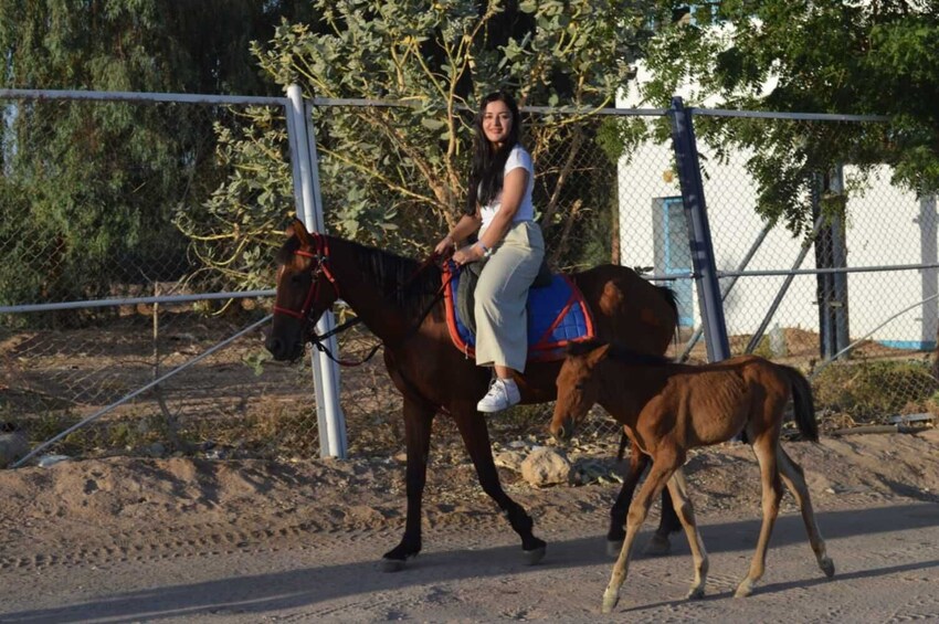 Beach Horse Riding in Sharm El Sheikh 