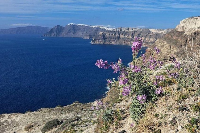 Un paysage côtier avec des falaises, une étendue d’eau et des fleurs violettes. 2