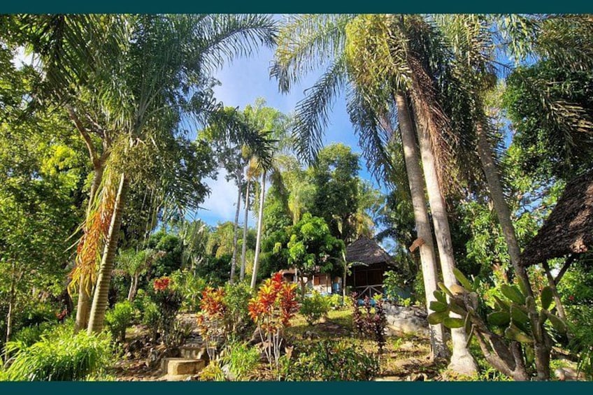 A tropical garden with palm trees, a thatched-roof hut, and a stone pathway. 4