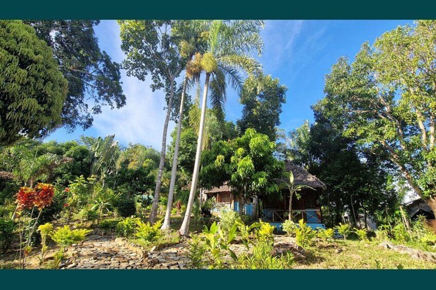 A tropical garden with a wooden house, various trees, and a stone pathway. 3
