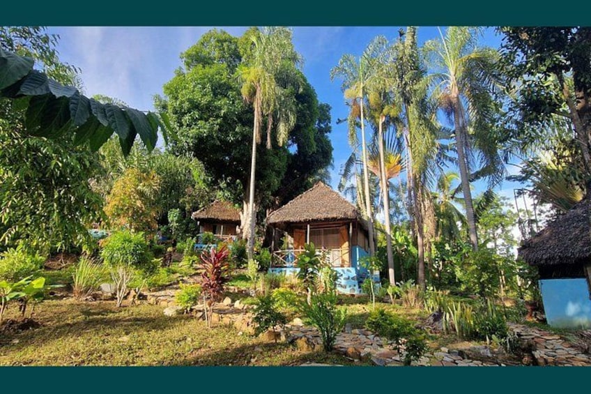 A tropical resort with thatched-roof huts, lush greenery, and palm trees. 2
