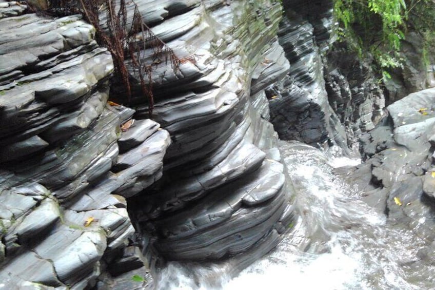 Private Jungle River Trek in Yanbaru 1