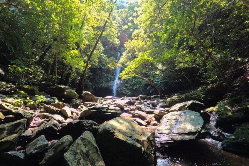 Okinawa Jungle Trails & Waterfalls – Private Yanbaru Tour 2