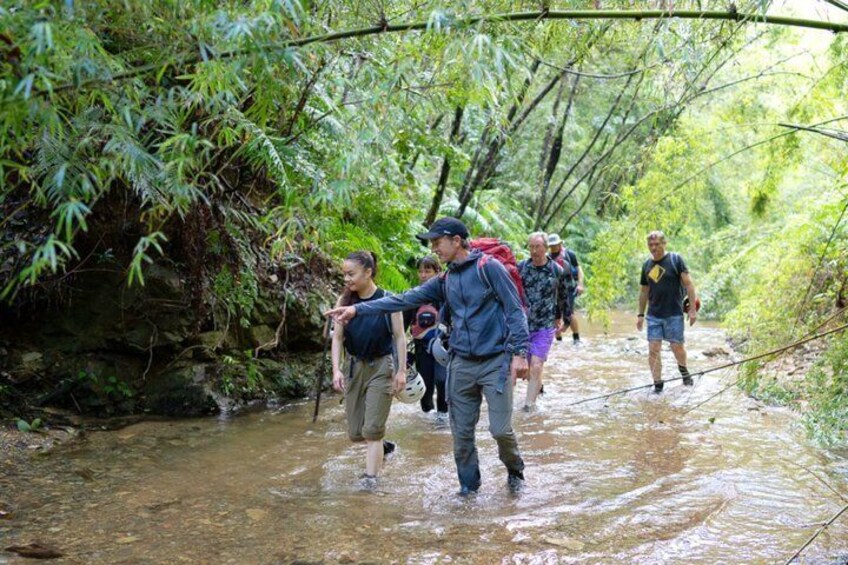 A group of people crossing a shallow stream in a forested area. 1