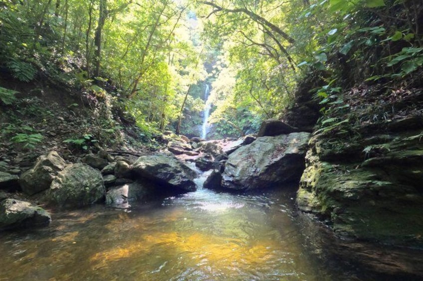 Okinawa Jungle Trails & Waterfalls – Private Yanbaru Tour 5