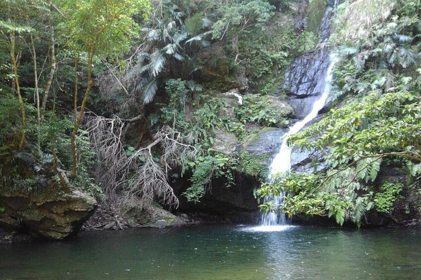 Okinawa Jungle Trails & Waterfalls – Private Yanbaru Tour 4