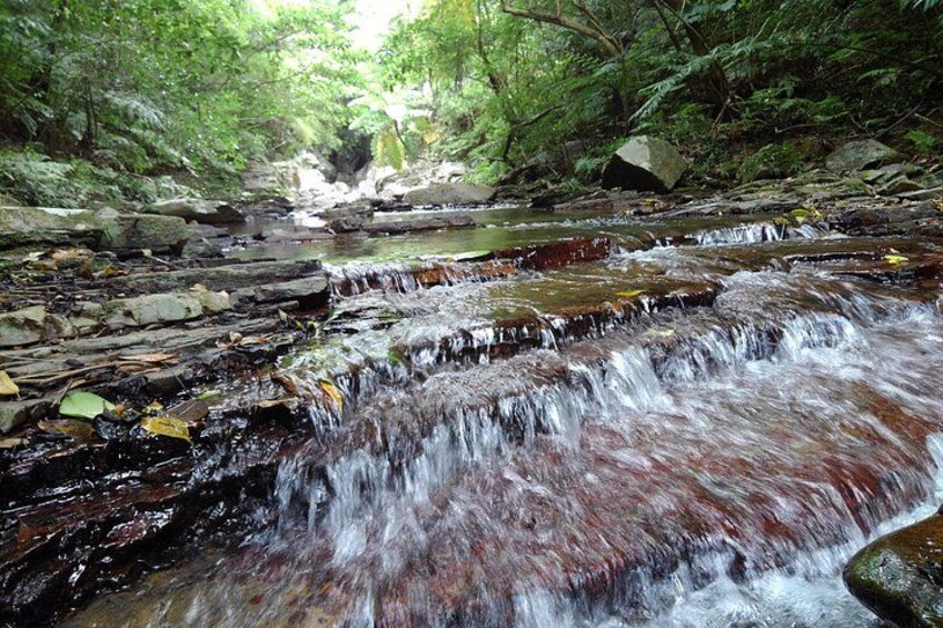 Okinawa Jungle Trails & Waterfalls – Private Yanbaru Tour 2