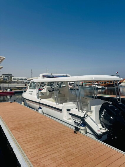 Picture 5 for Activity Muscat: Dolphin Watching Boat Tour 5