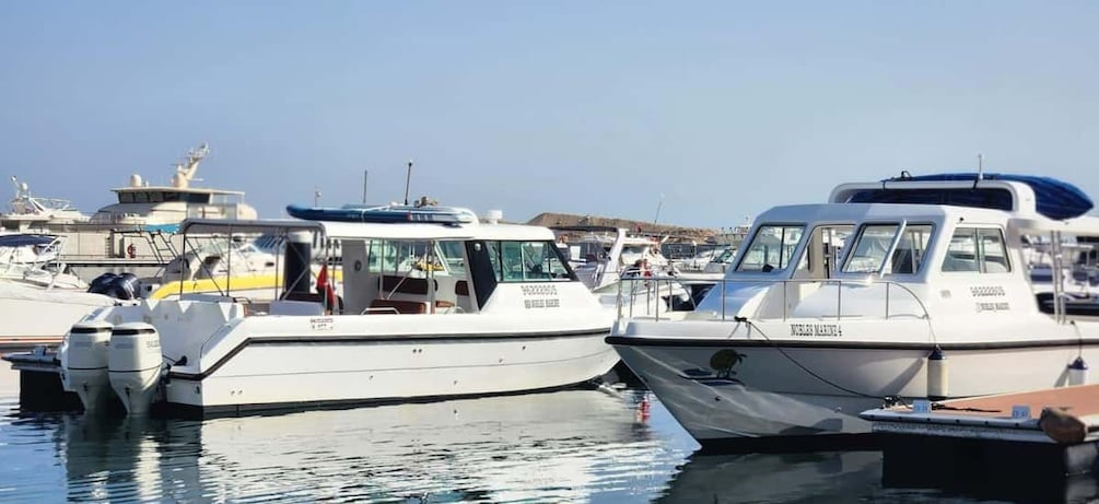 Picture 6 for Activity Muscat: Dolphin Watching Boat Tour 5