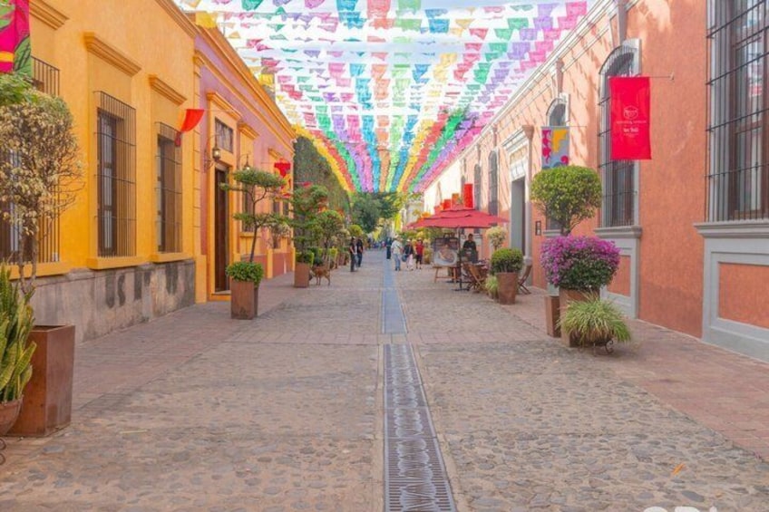 Premium Tequila Tour with Tasting and Pairing by GDL EXPERIENCES 3