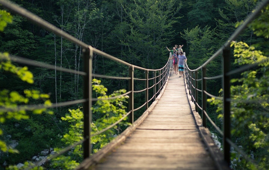 A wooden suspension bridge in a forest. 1