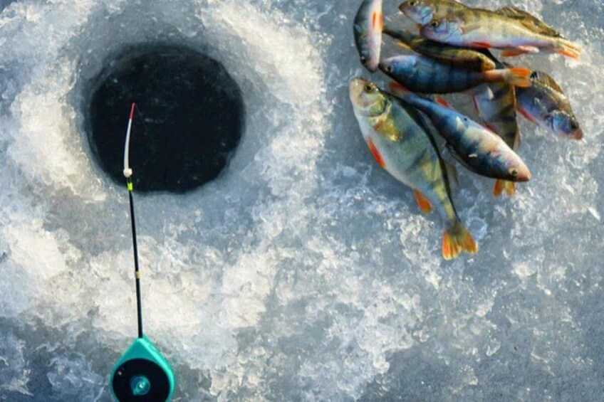 A fishing hole with a fishing rod and several fish on the ice. 3