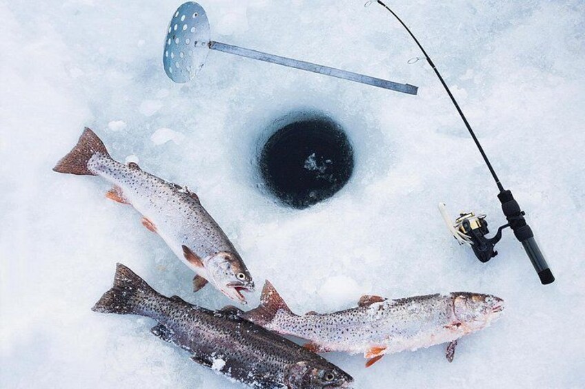 Three fish on ice, a fishing rod, and a hole in the ice. 4