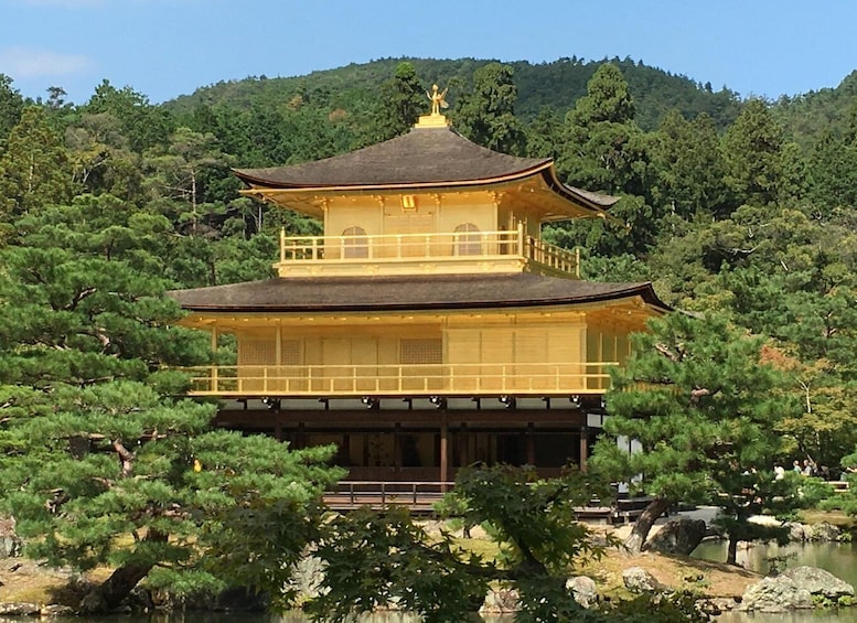A traditional Japanese pagoda with a golden roof, surrounded by lush greenery and a forested hillside. 2