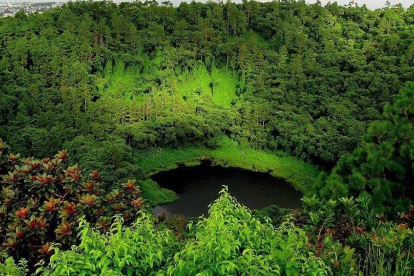 A dense forest with a circular clearing. 5