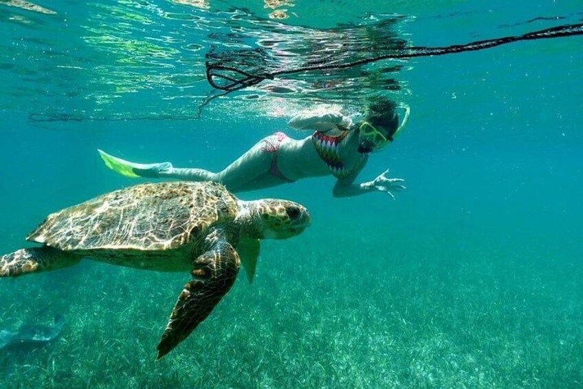 Snorkeling at Silk and Moho Caye 2