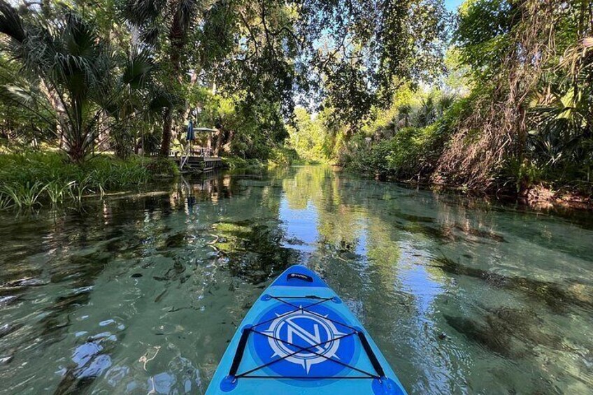 Florida paddle excursions 2